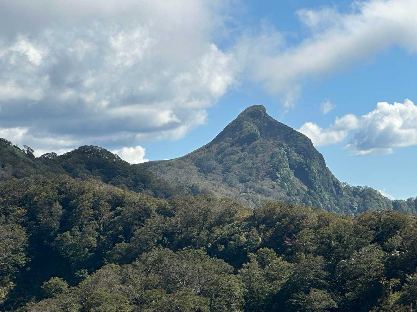 またまた「冠山」⛰
もはや烏帽子冠にしか見えない