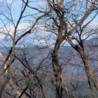 奥多摩方面に大岳山