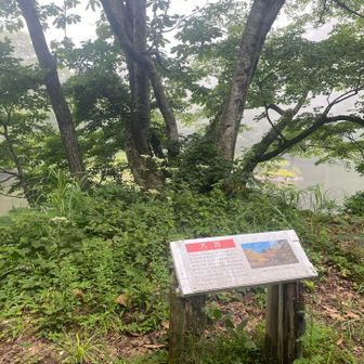 こちらも更新した案内看板