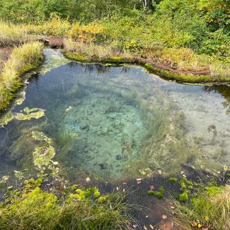 竜神の池に寄りました
すっごいブルー🩵
写真じゃ伝わらないな