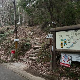 よろしくお願いします🙇‍♀️