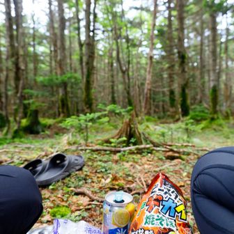 お腹も満たされ日差しが出てきたので森に入って涼みながら酒飲むとする🎶
🦌が目の前を通過していく🤣