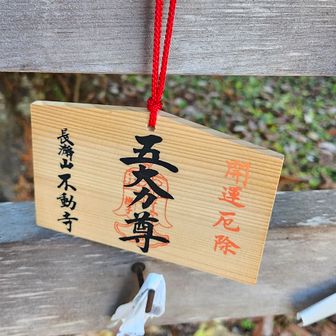 前回来たときには奉納した絵馬がありました。裏側の記載内容は‥‥ヒミツ🤫