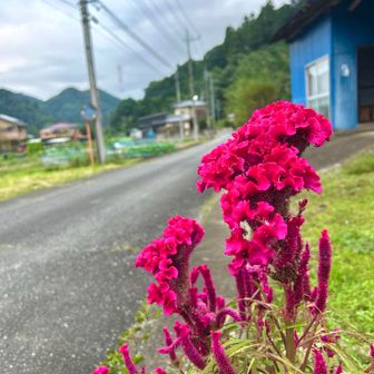 あとは、🅿️に戻るだけ😊