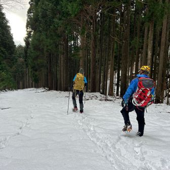 ここから安心の林道🚶‍♀️