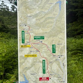長日尾根コースは未踏
