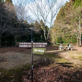 権現平到着
一体は広場になっており東屋や多数のベンチがある