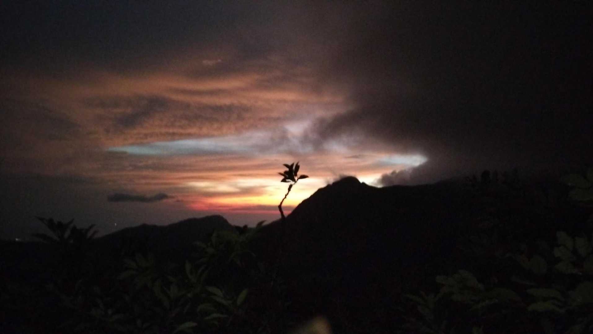 夏山登山道コースの写真