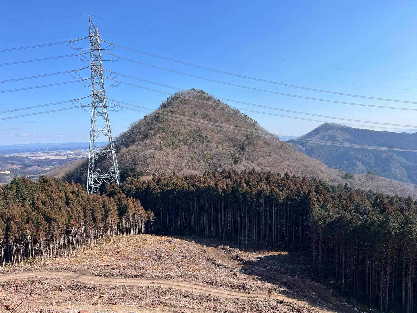 飯盛山、杉林が伐採された

花粉症の私としては、杉の木が１本でも無くなるのは嬉しい