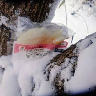 hacchiさんからもらったしろもちたい焼き🐟️
美味しかったです😋