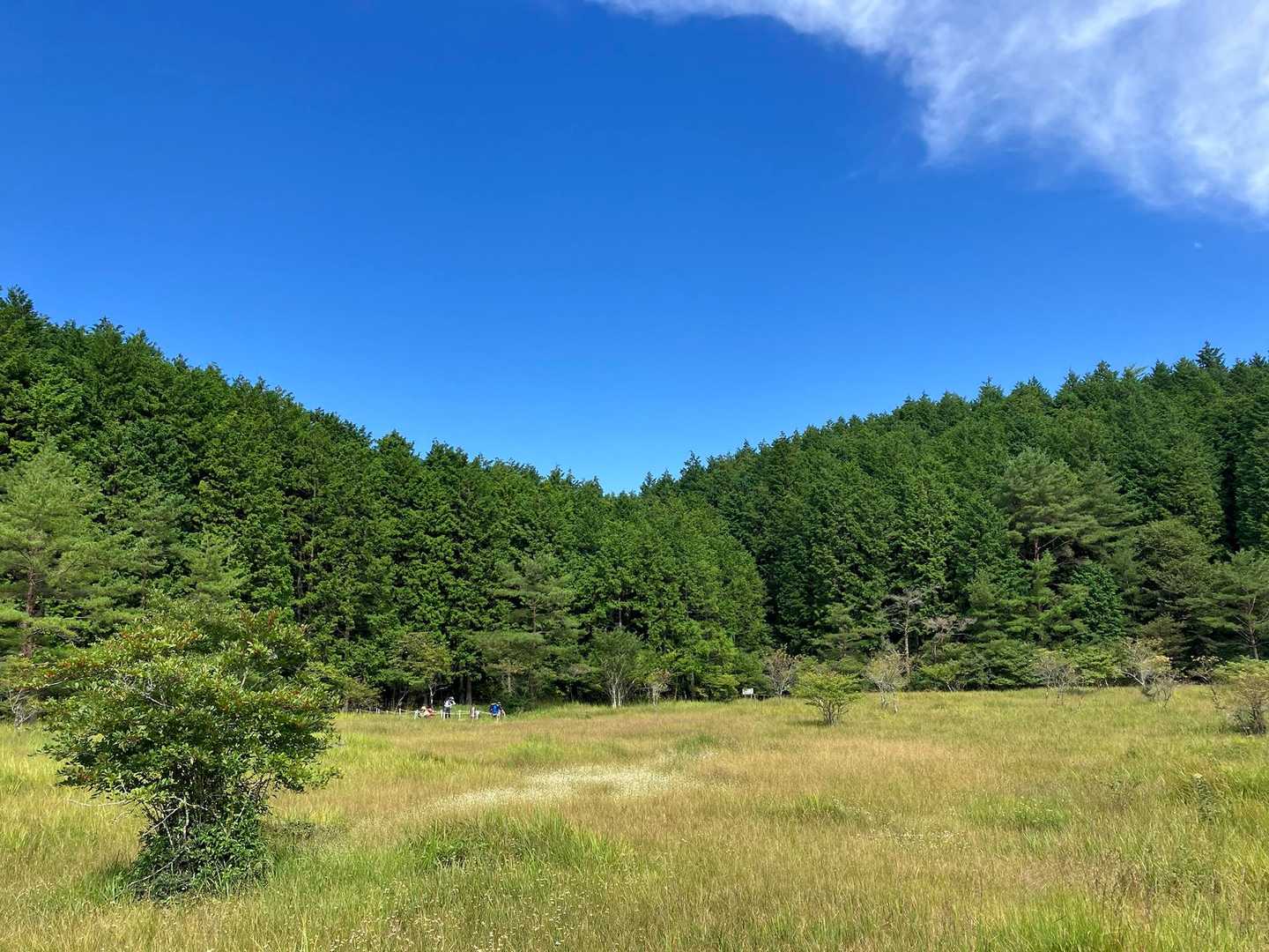 笹平口-屏風山 周回コースの写真