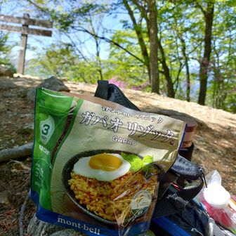 早めのランチ🤗mont-bellのガパオ。スパイス効いて美味しかった。