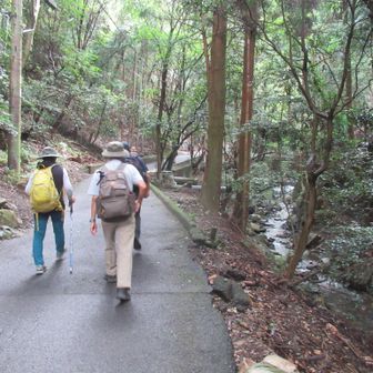 渓流横のいい道を登る