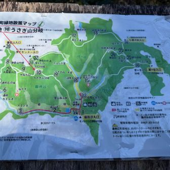 次に鎌倉広町緑地に来ました
次のうさぎ山は表示なく道があるだけでした