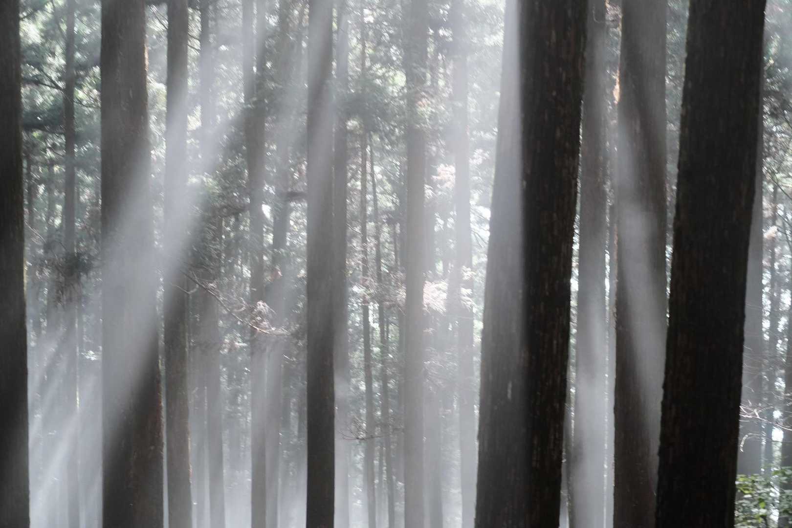 武甲山 周回コースの写真