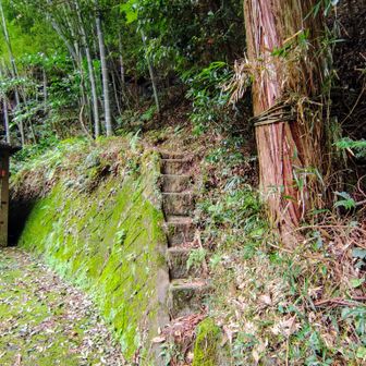 お寺の前のこの階段を登りました↗️