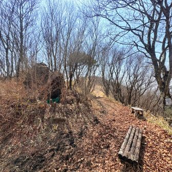 ベンチの向かいの岩の奥にありました