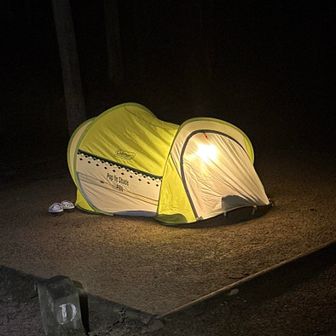 さるピーナッツ