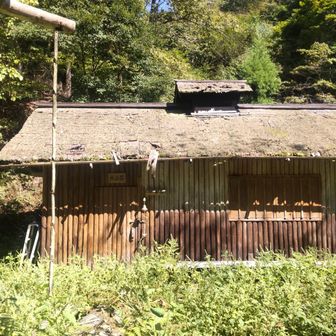 作業前①（小屋正面：入口のある面）