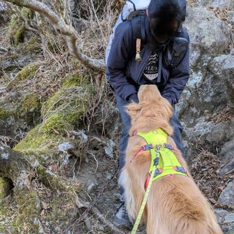 ありがとう‼️ワシャワシャ🐶