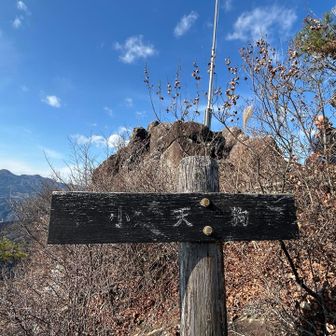 お次は小天狗👺