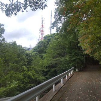 ほんと誰とも会わず。ずいぶん木が茂ってきたような