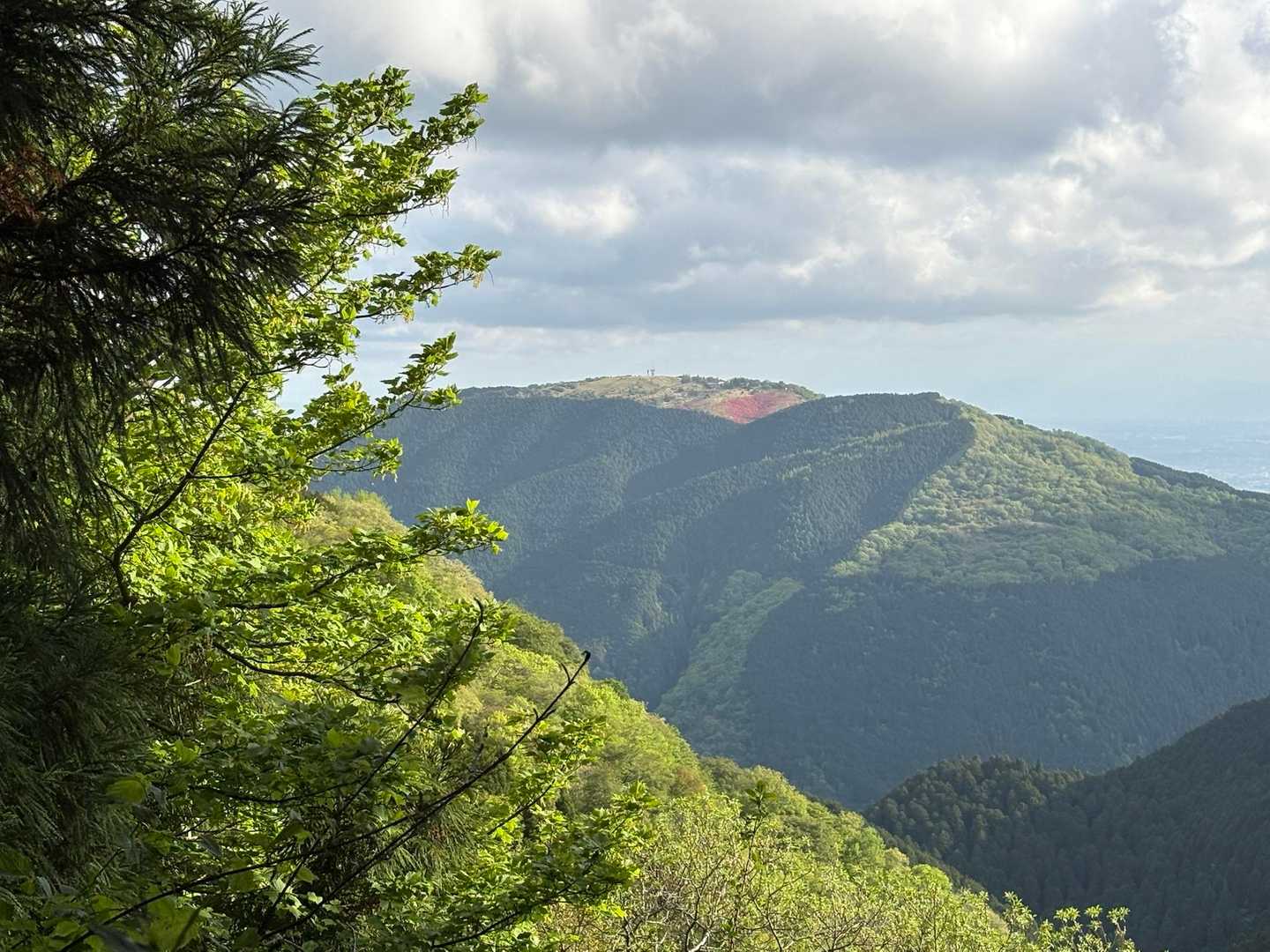 定点観測ー葛城山山頂が紅く色づいてる❤️
