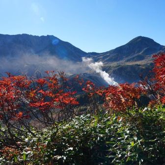 ナナカマドと立山・浄土山