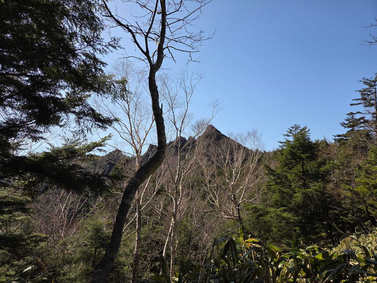 銀山平-庚申山-鋸山-皇海山-六林班峠 周回コースの写真