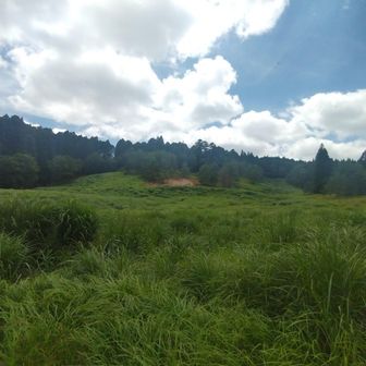 高野山スキー場を通過します