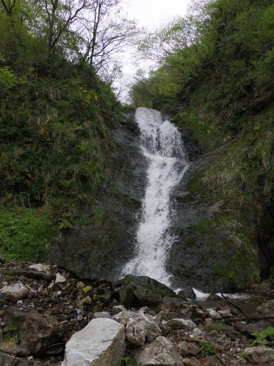白谷登山口-横山岳-鳥越峠-エコチ谷登山口 周回コースの写真