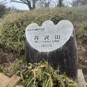 丹沢到着〜✨