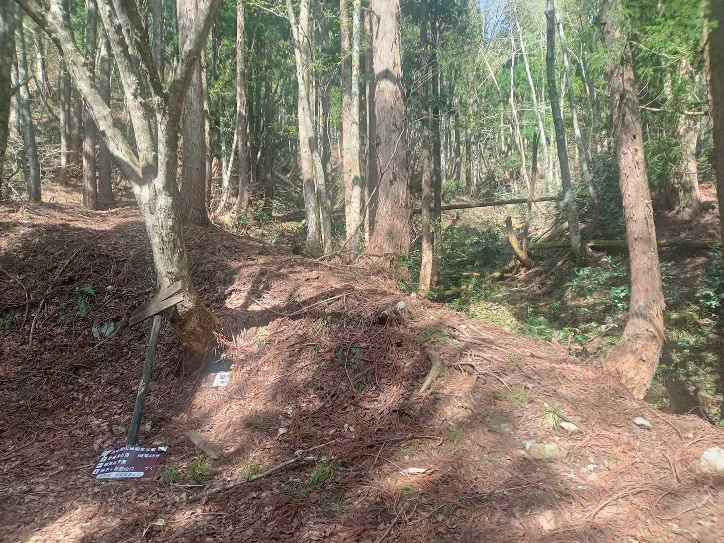 獅子ヶ谷登山口まで下りてきました
