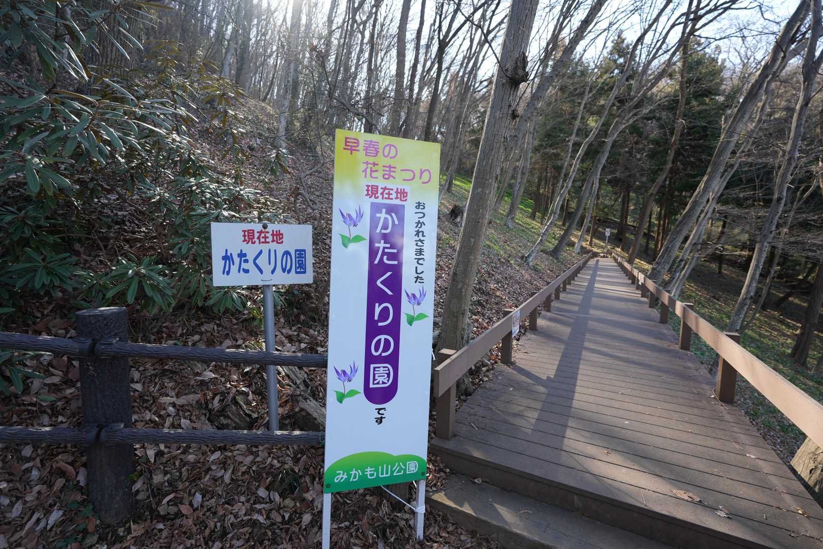 山頂中継広場 周回コースの写真