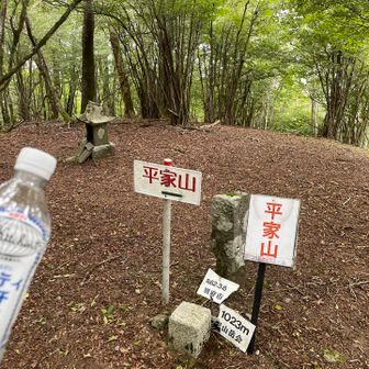ウチワ((ﾞＱ(´･ω･｀;)ﾊﾟﾀﾊﾟﾀ
春に登ったけど夏にも来たよ🎶
お疲れ山👍