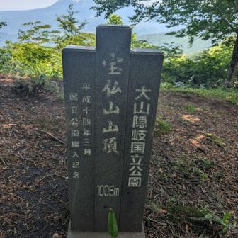 着いた🚩墓石みたいな山頂標識👻