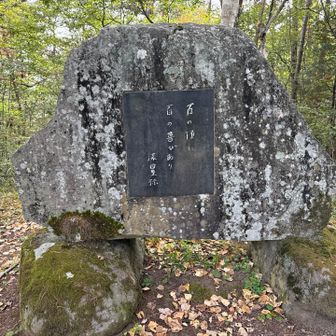 百の頂に百の喜びあり🙇‍♂️