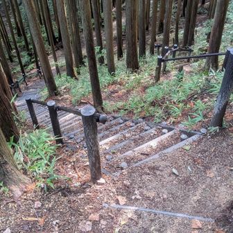 階段は続きます
全部で千段位ありそう