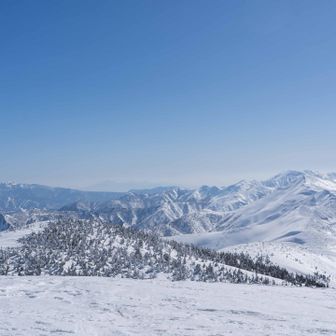 だいぶ雪が落ちている