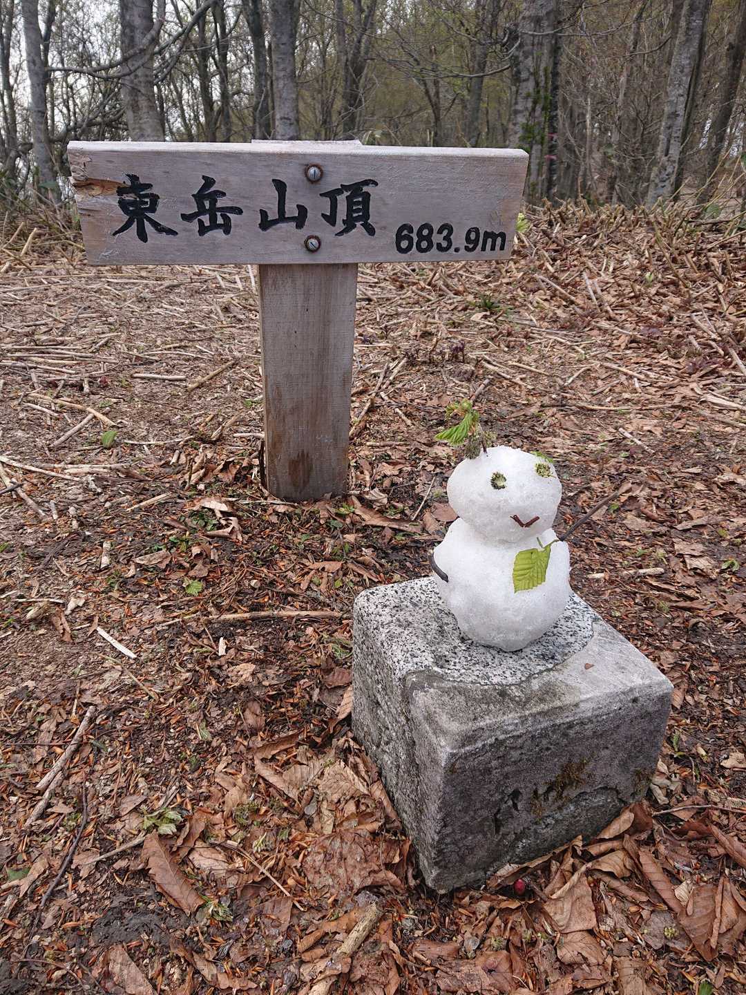 再び東岳山頂へ。
michikoさん、雪遊びを始めました👍