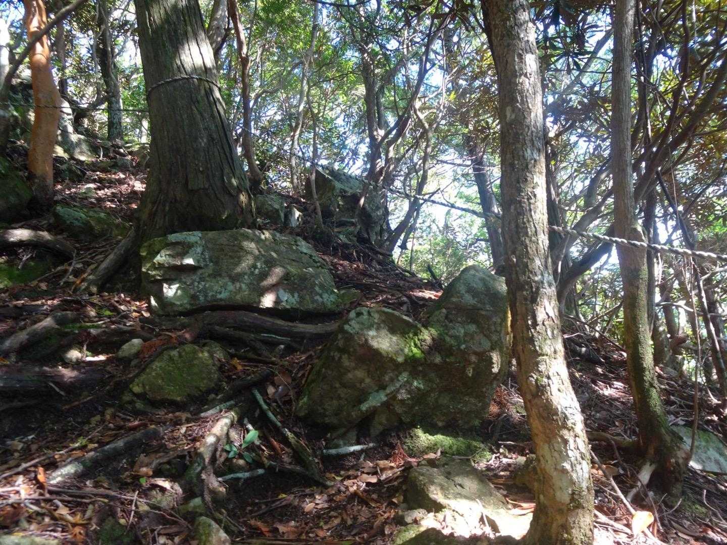 迷わないように、ロープで道固定してました。
