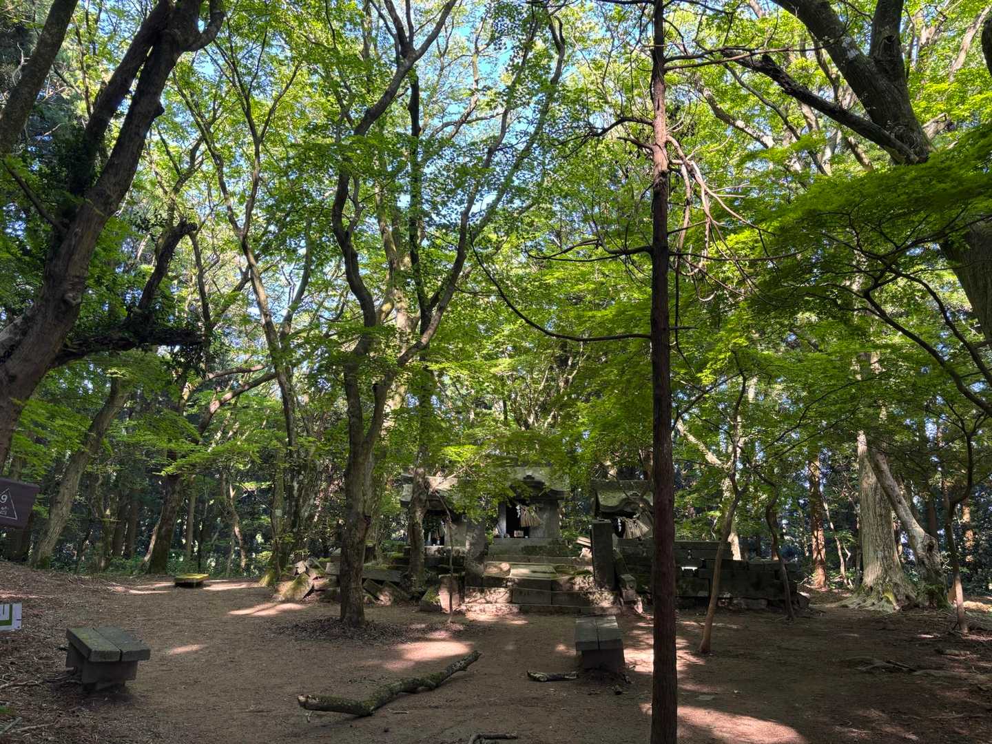 中宮もグリーン一色🌿