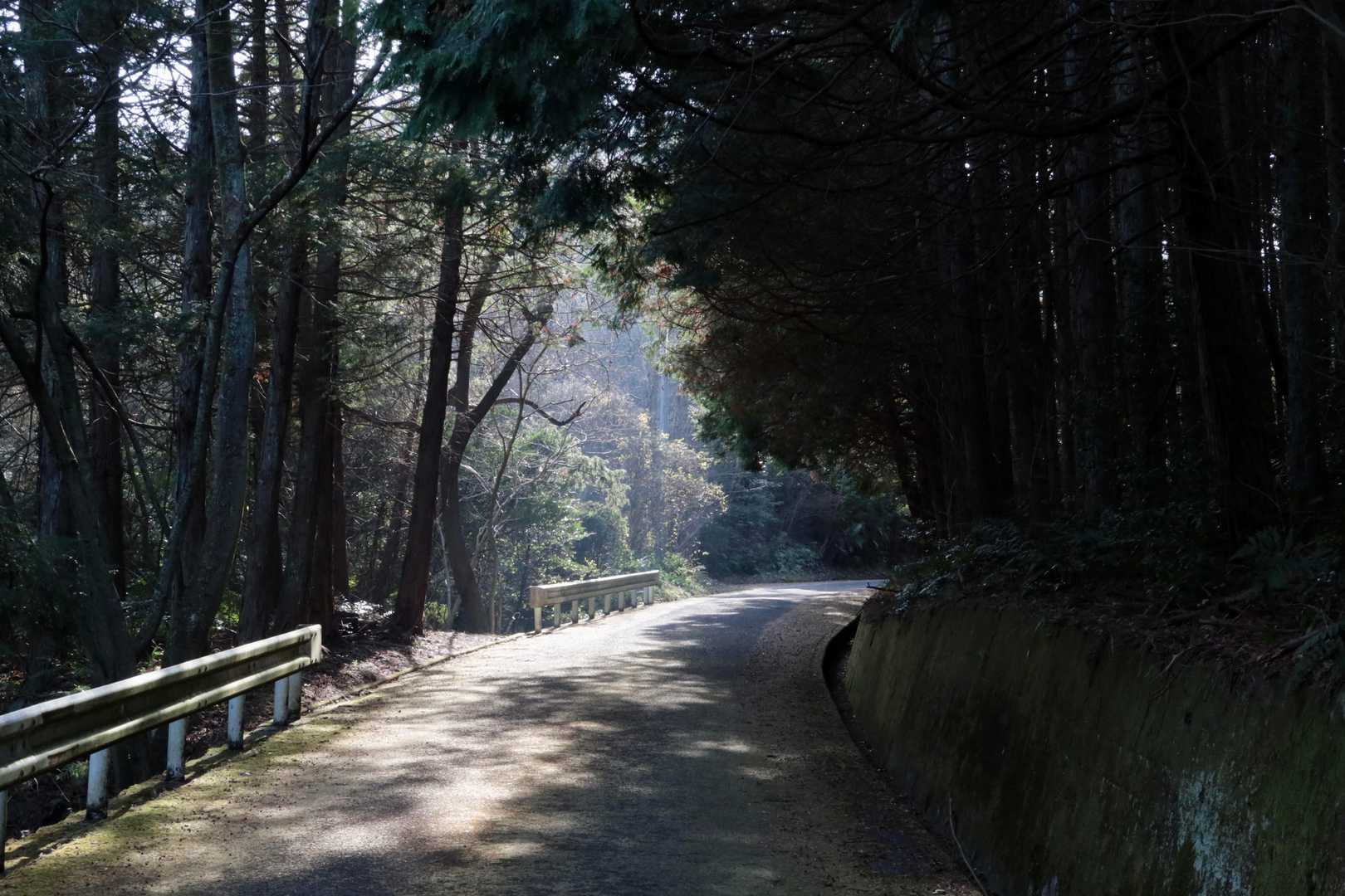 やっぱり霞んでます