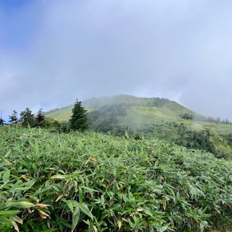 金山方面へ向かいます。