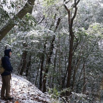 雪が融けて上から舞い落ちる