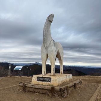 陣馬山頂とうちゃこ！