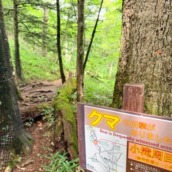 小滝までは行けます！