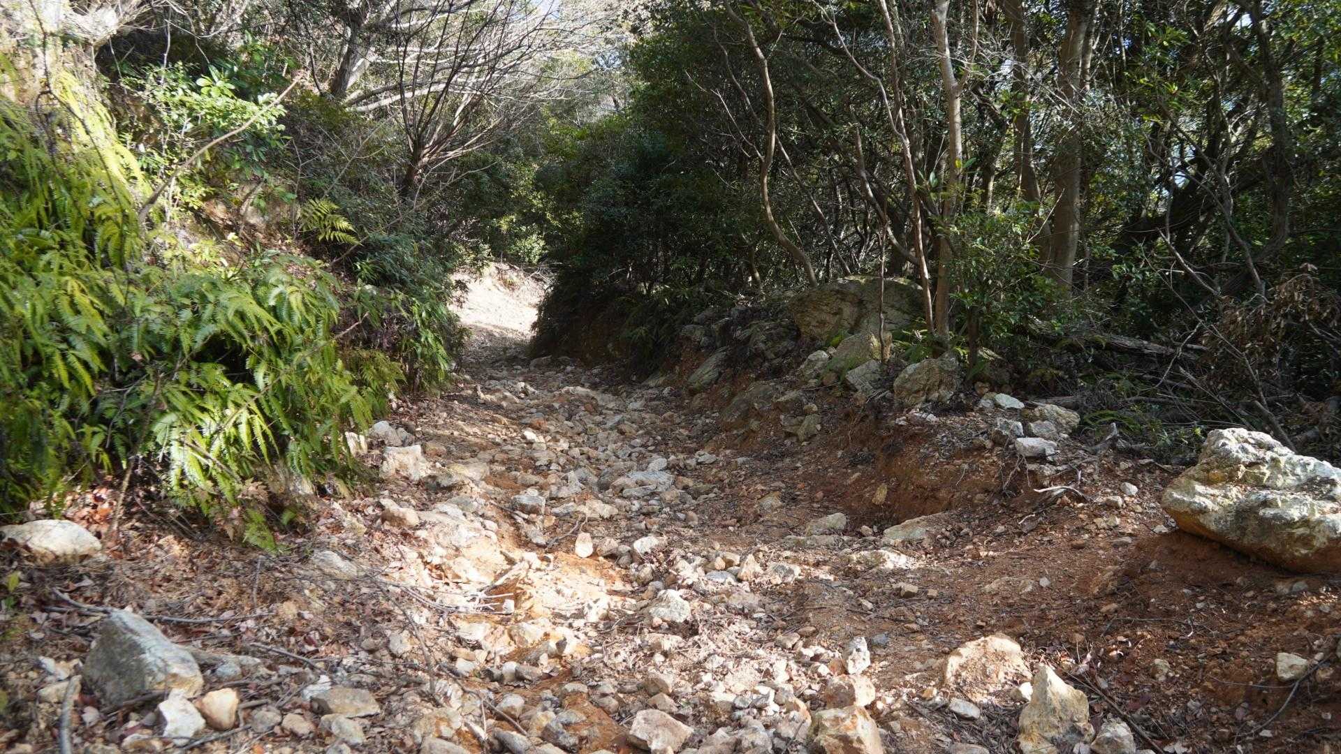 大山 往復コースの写真