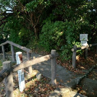 ここを降りると