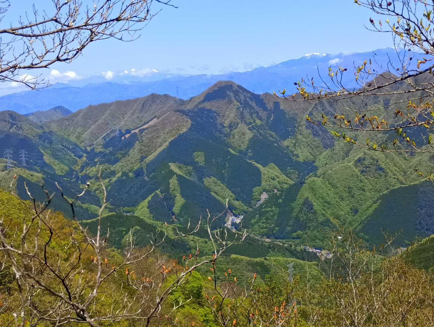 八ヶ岳と金峰山、手間のとんがりは達沢山？